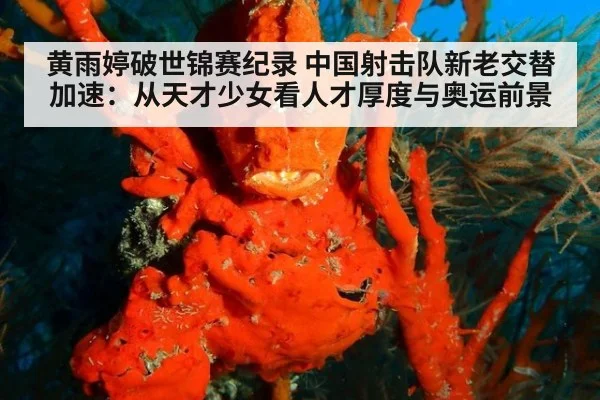 黄雨婷破世锦赛纪录 中国射击队新老交替加速：从天才少女看人才厚度与奥运前景